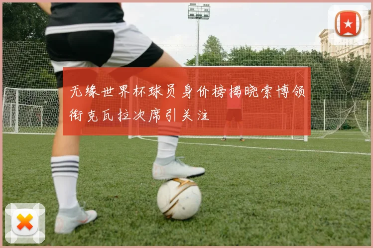 无缘世界杯球员身价榜揭晓索博领衔克瓦拉次席引关注